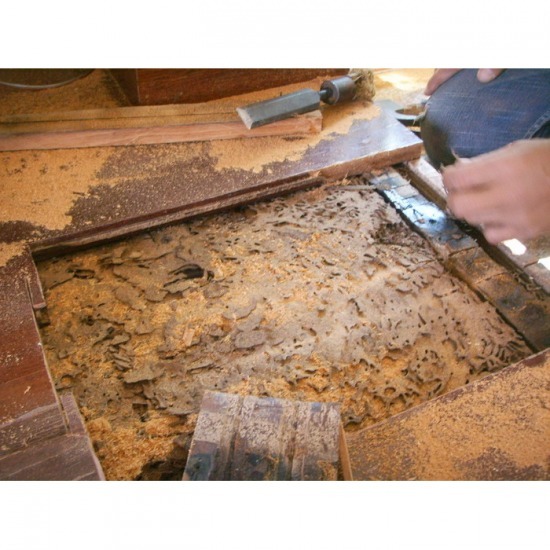 กำจัดปลวก ชลบุรี กำจัดปลวก ชลบุรี 