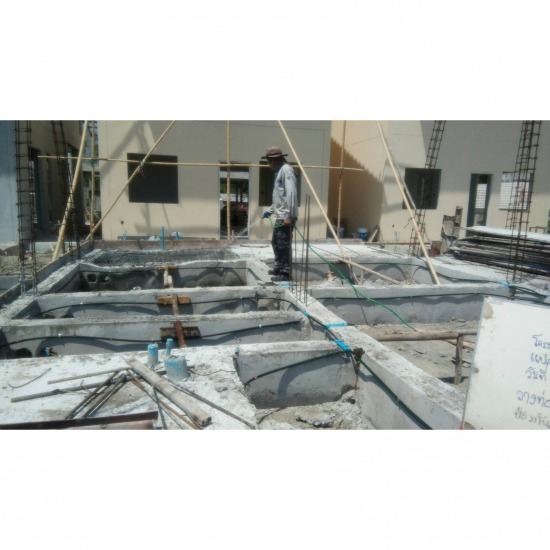 บริการกำจัดปลวกพัทยา - บริการกำจัดปลวก ชลบุรี