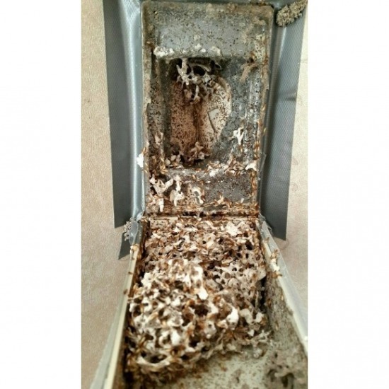 บริการกำจัดปลวกพัทยา - เหยื่อล่อปลวก ชลบุรี