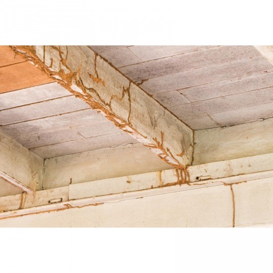 บริการกำจัดปลวกพัทยา - แอล เค โฮมเพลสท์คอนโทรล เซอร์วิส - บริษัทฉีดปลวก ชลบุรี